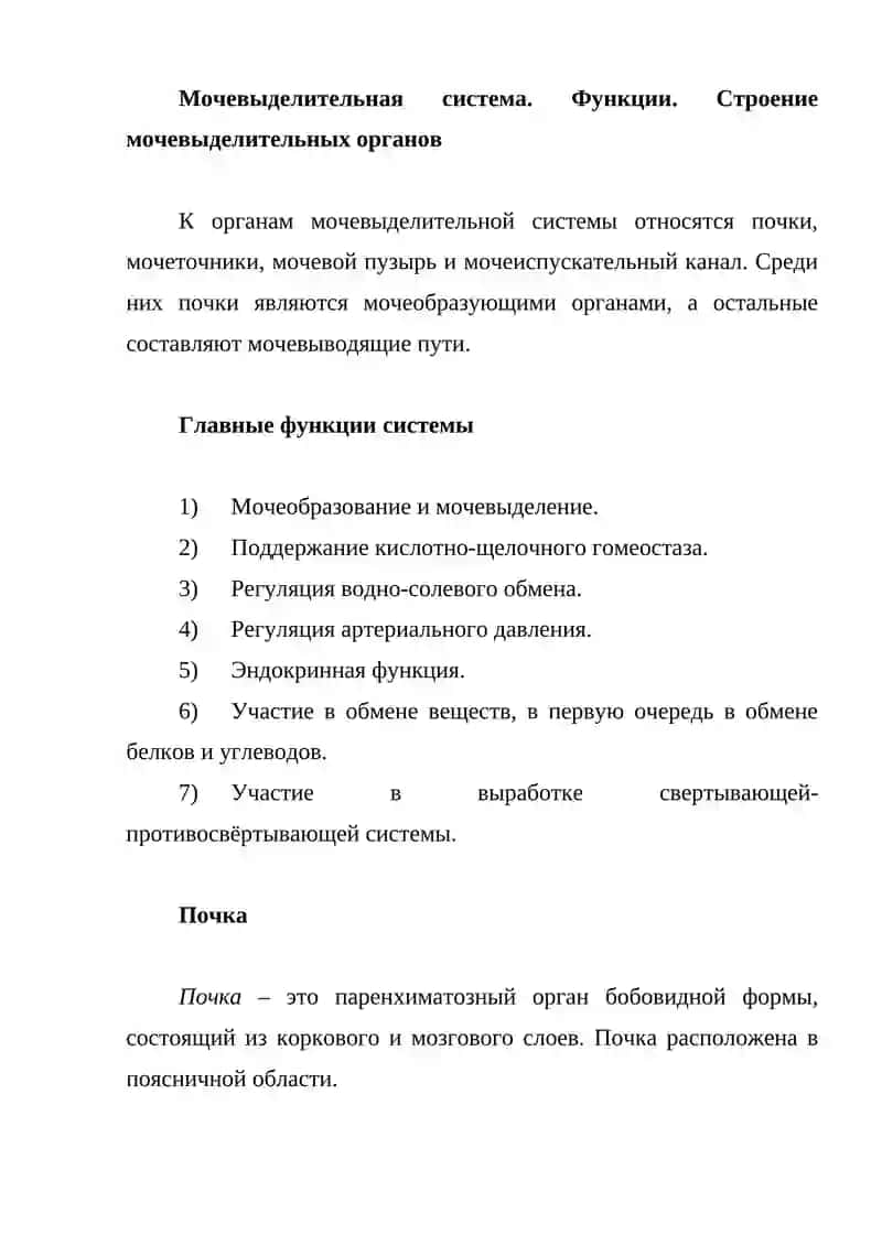 Мочевыделительная система 3