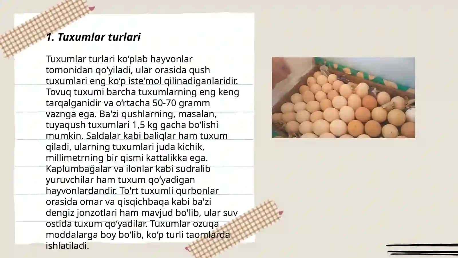 Tuxum va tuxum mahsulotlari 3