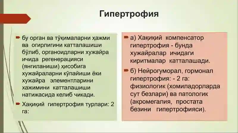 Усма 3