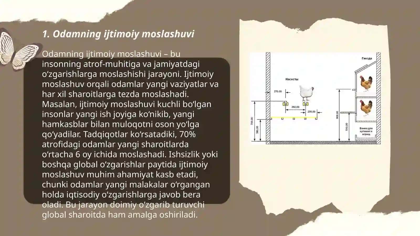 Odamning adaptiv tiplari 3