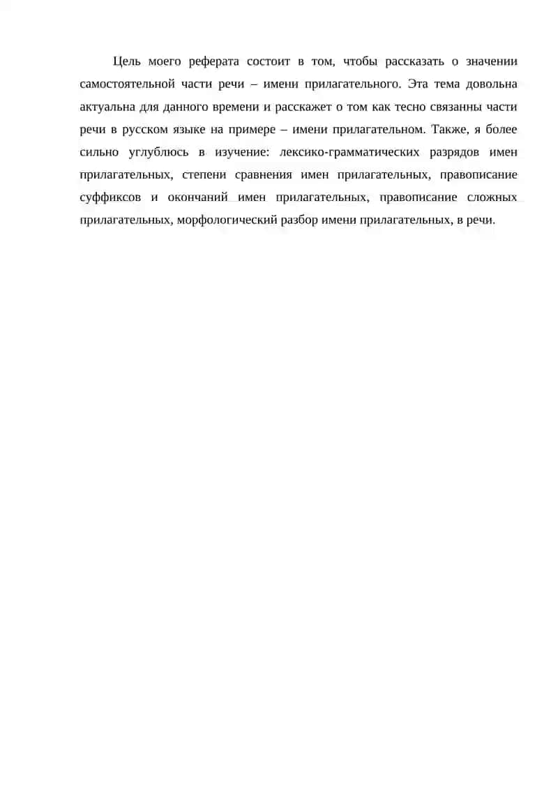 Имя прилагательное 3