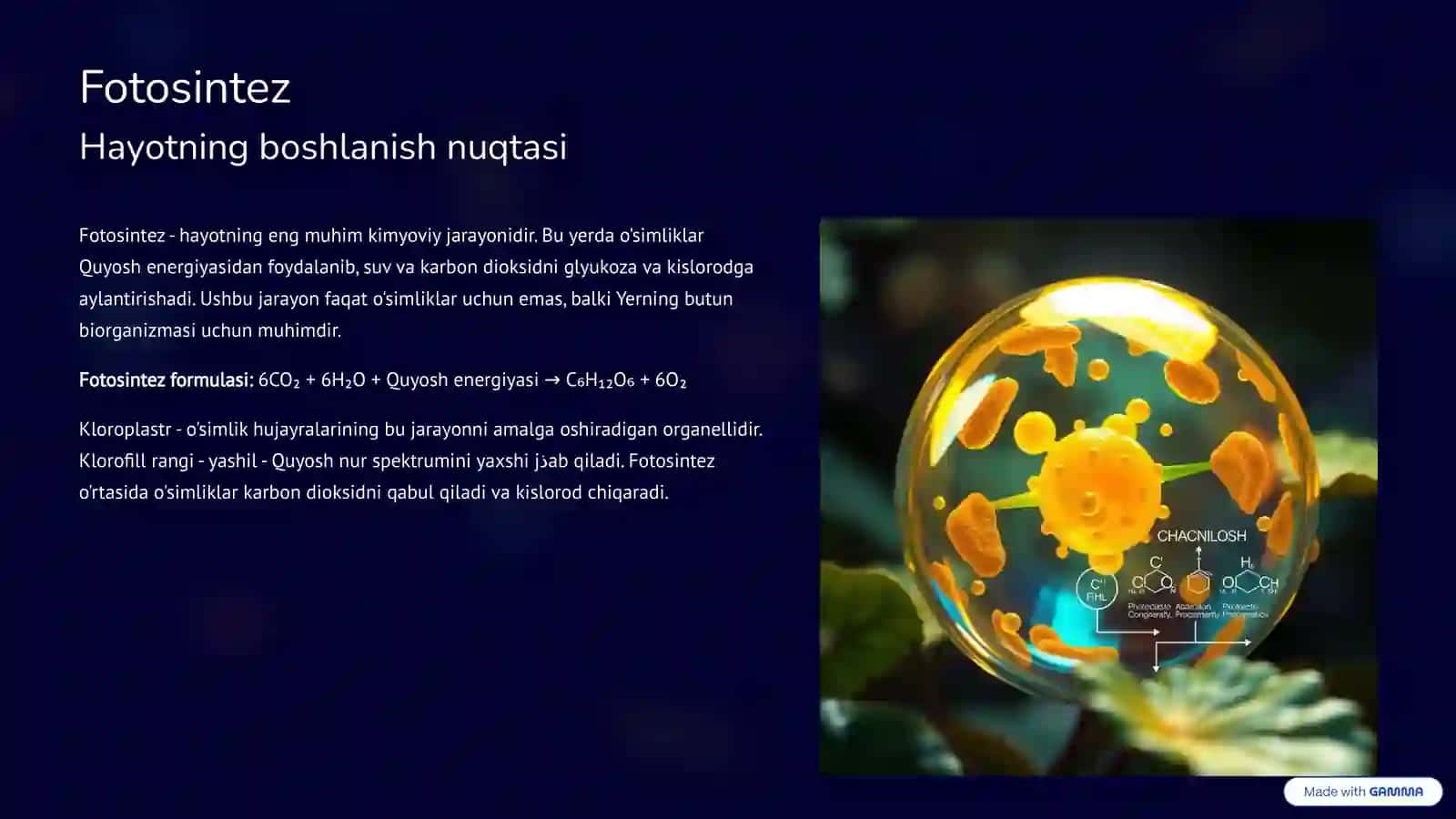O'simliklar hayoti va yashash muhiti 3