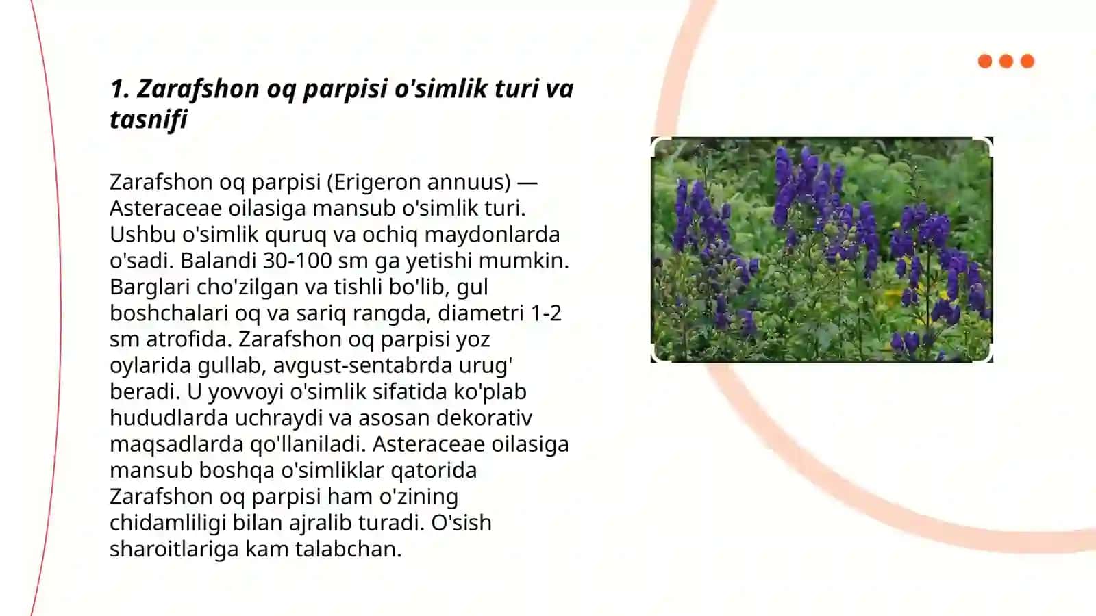 Mahammadjonova Mohlaroyning taqdimoti 3