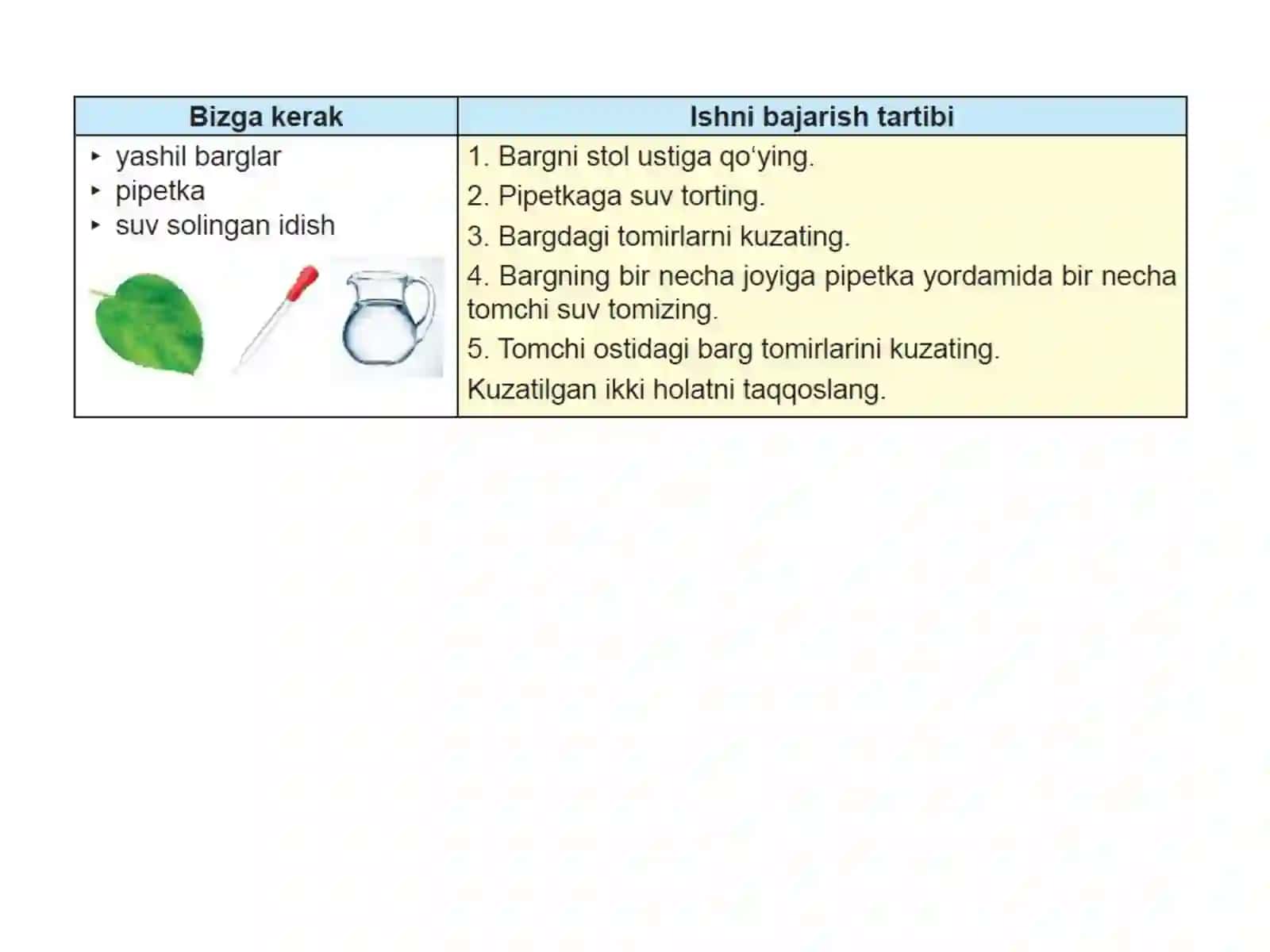 LINZALAR 3