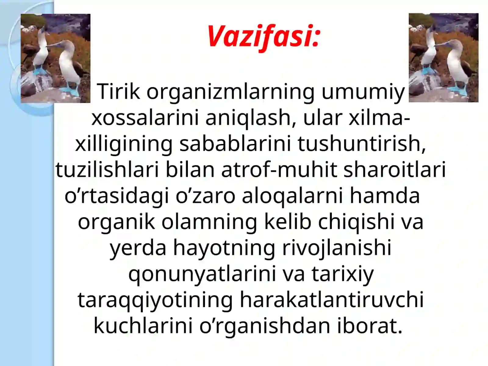 Evolutsion biologiya kursi 3