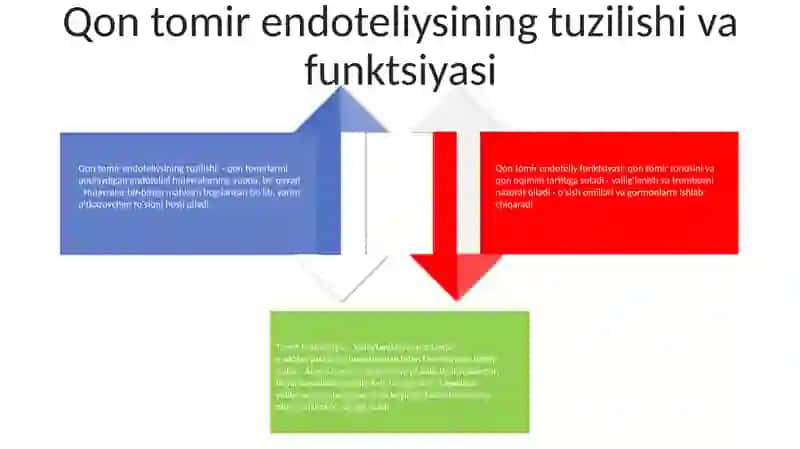 Tomir Endoteliysi 3