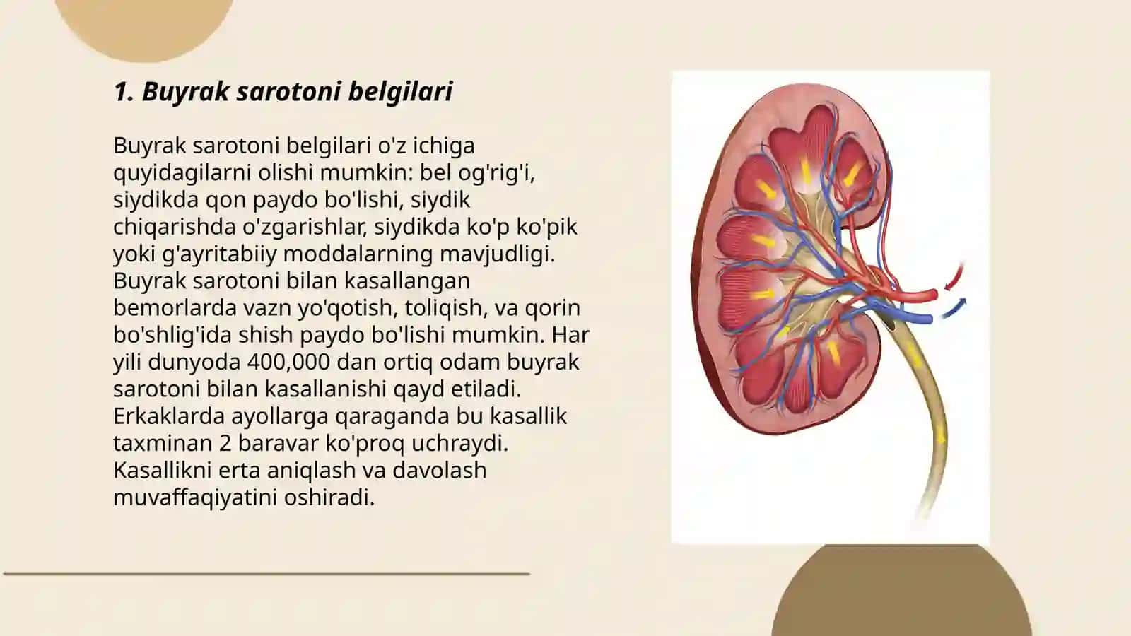 Buyrak sarotoni 3