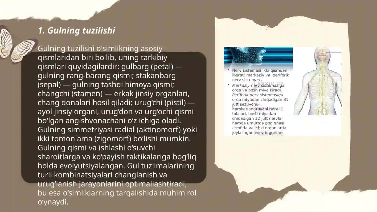 Gul va uning tuzilishi 3