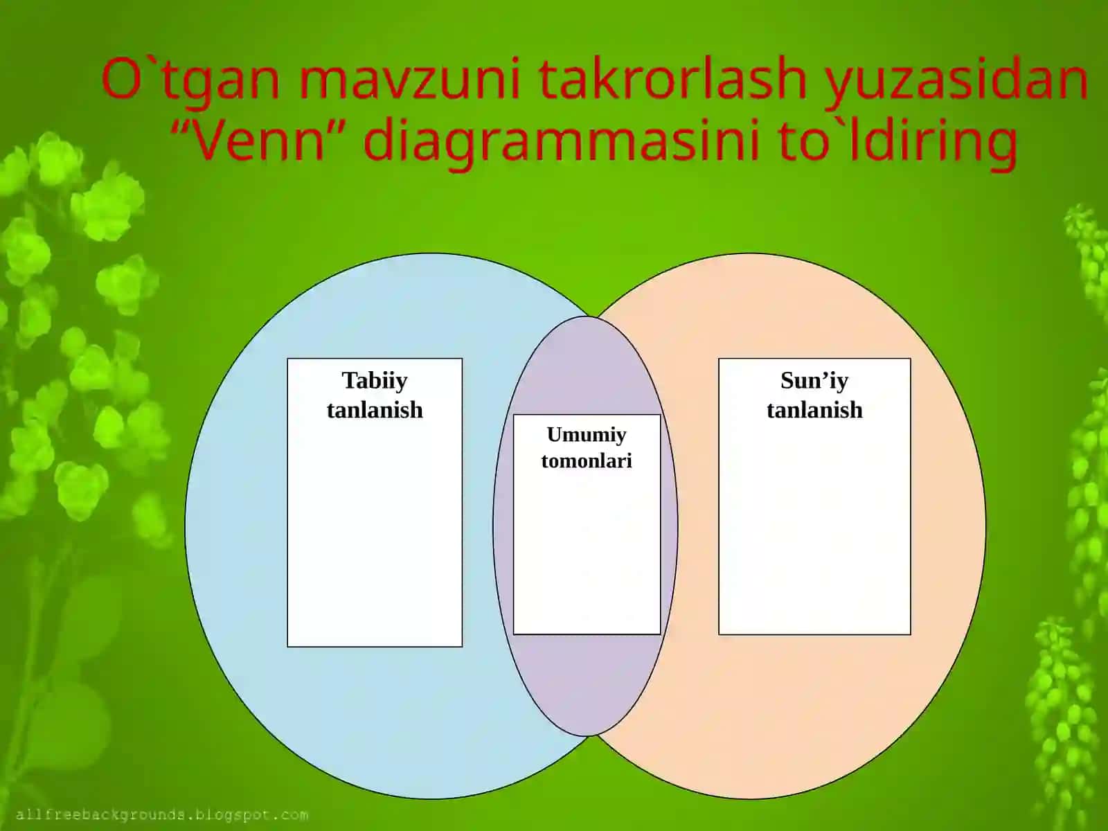 EVOLYUTSION TA`LIMOT12 3