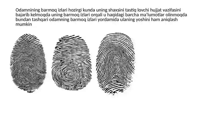 Odam genetikasining usullari: DERMOTOGLIFIKA usuli 3