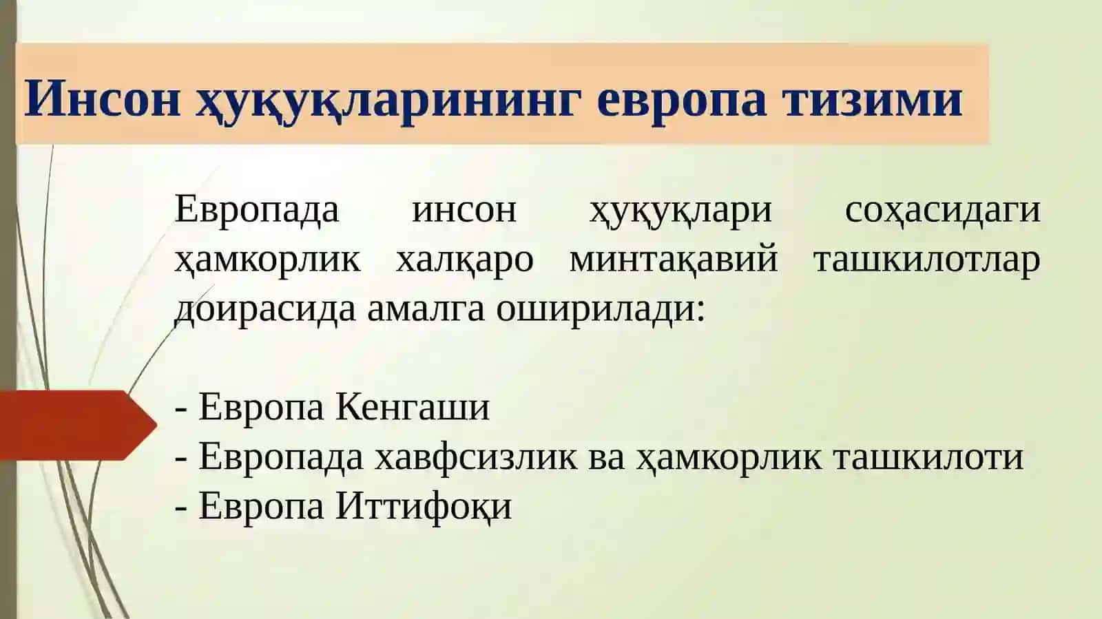 Инсон Ҳуқуқларибўйича Минтақавий Тизимлари 3