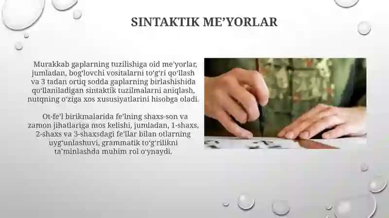 Oʻzbek adabiy tili meyorlari 3