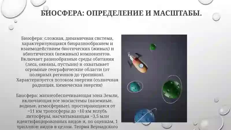V. I.Vernadsikiyning biosfera haqidagi talimoti 3