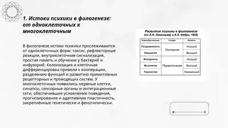 Филогенетическое развитие психики 3