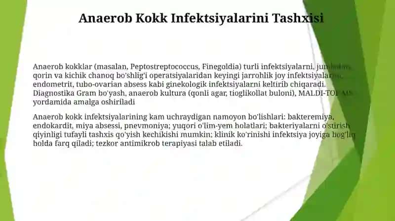 Anaerob Kokklar: Umumiy Ma'lumot 3