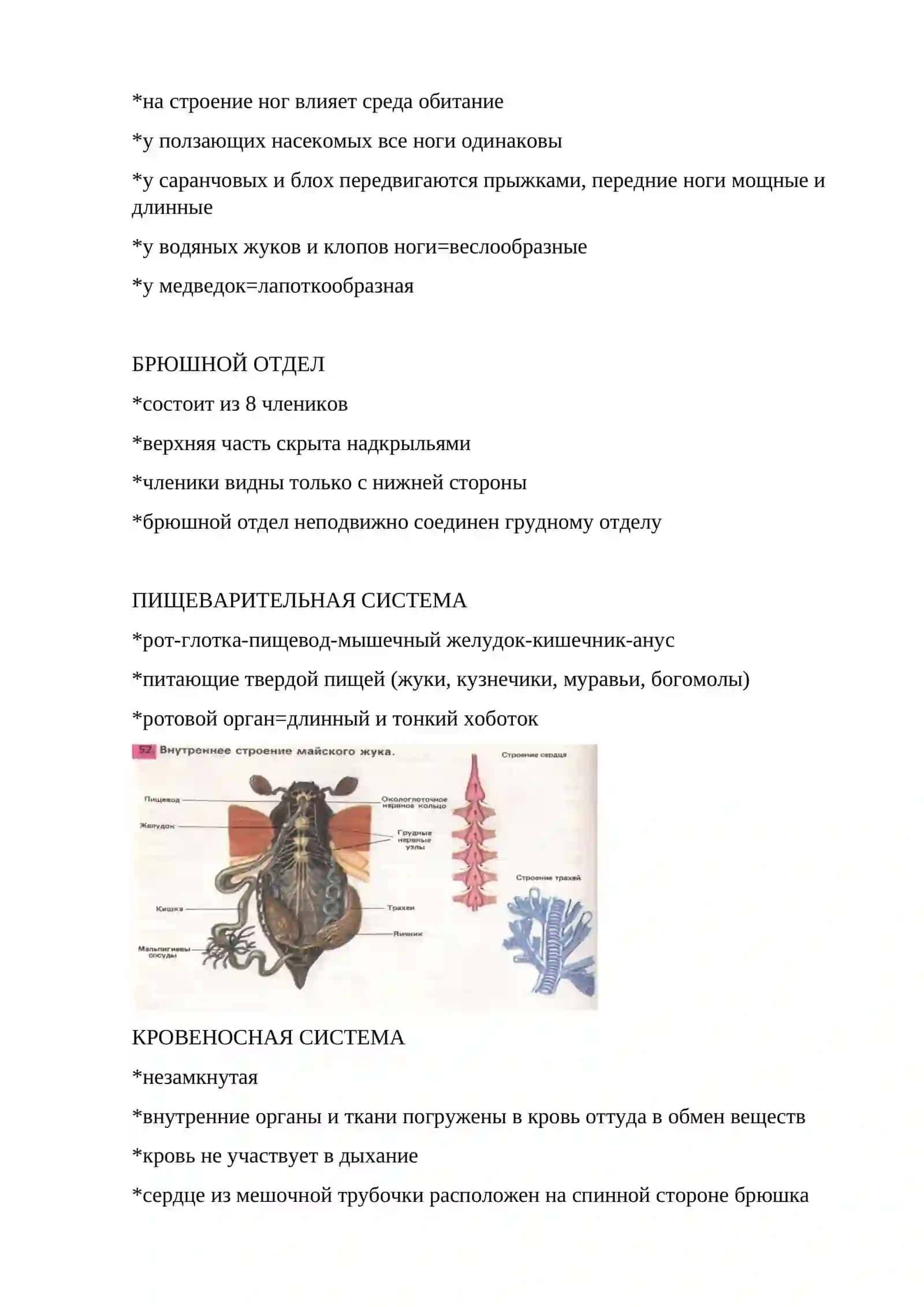 ЗЕЛЕНАЯ БРОНЗОВКА 3