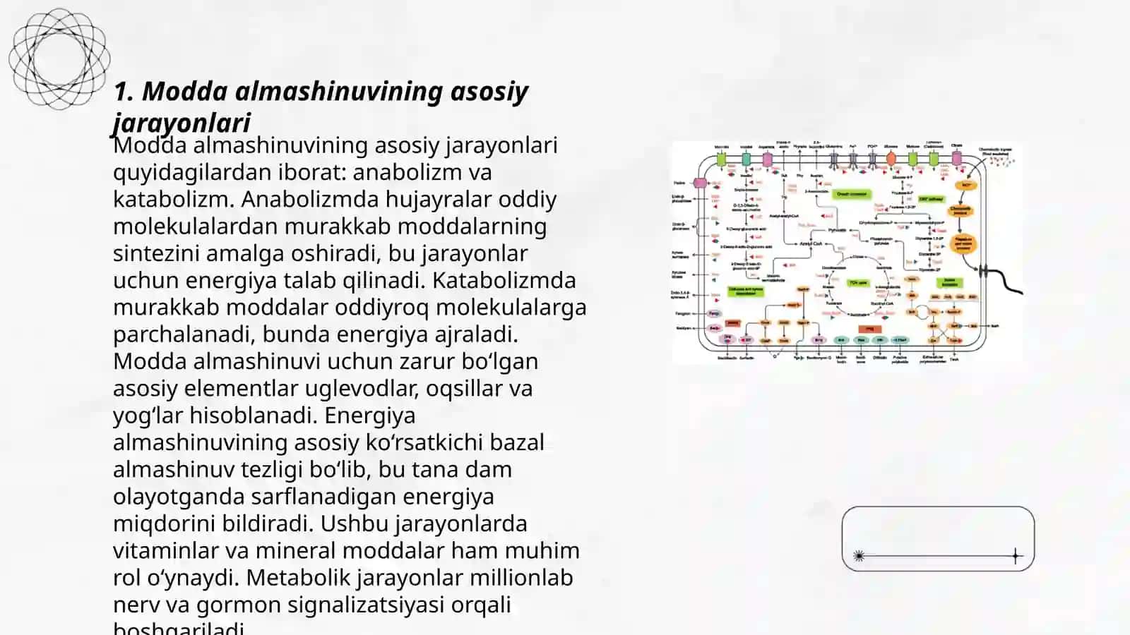 Modda almashinish jarayonlari 3