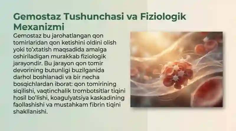 Mahalliy gemostaz uchun zamonaviy dori vositalari 3