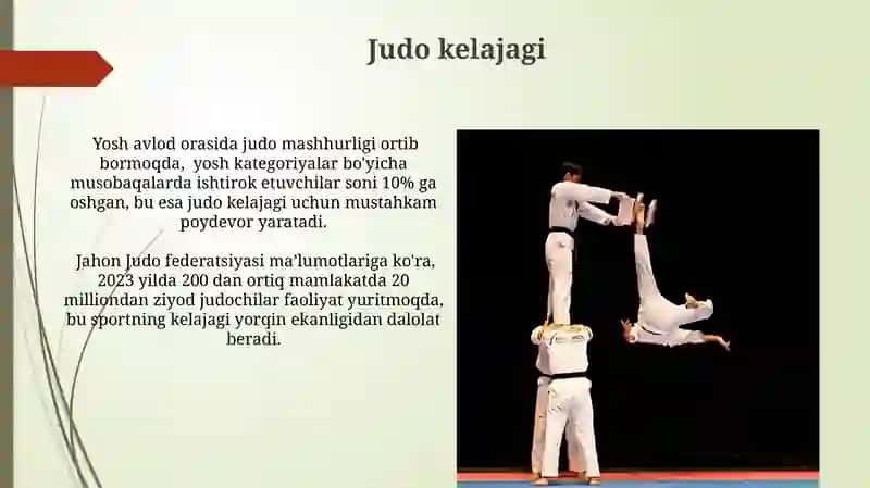 Dzyudo sport turi 3