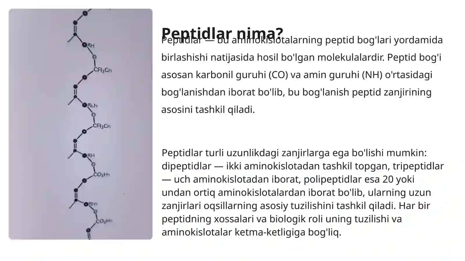 Peptidlar va Oqsillar 3