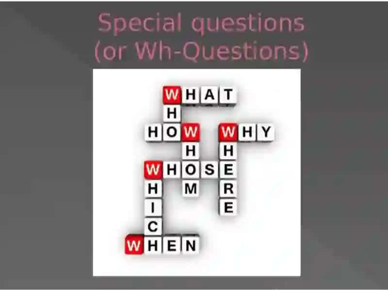 Yes/No Questions 3
