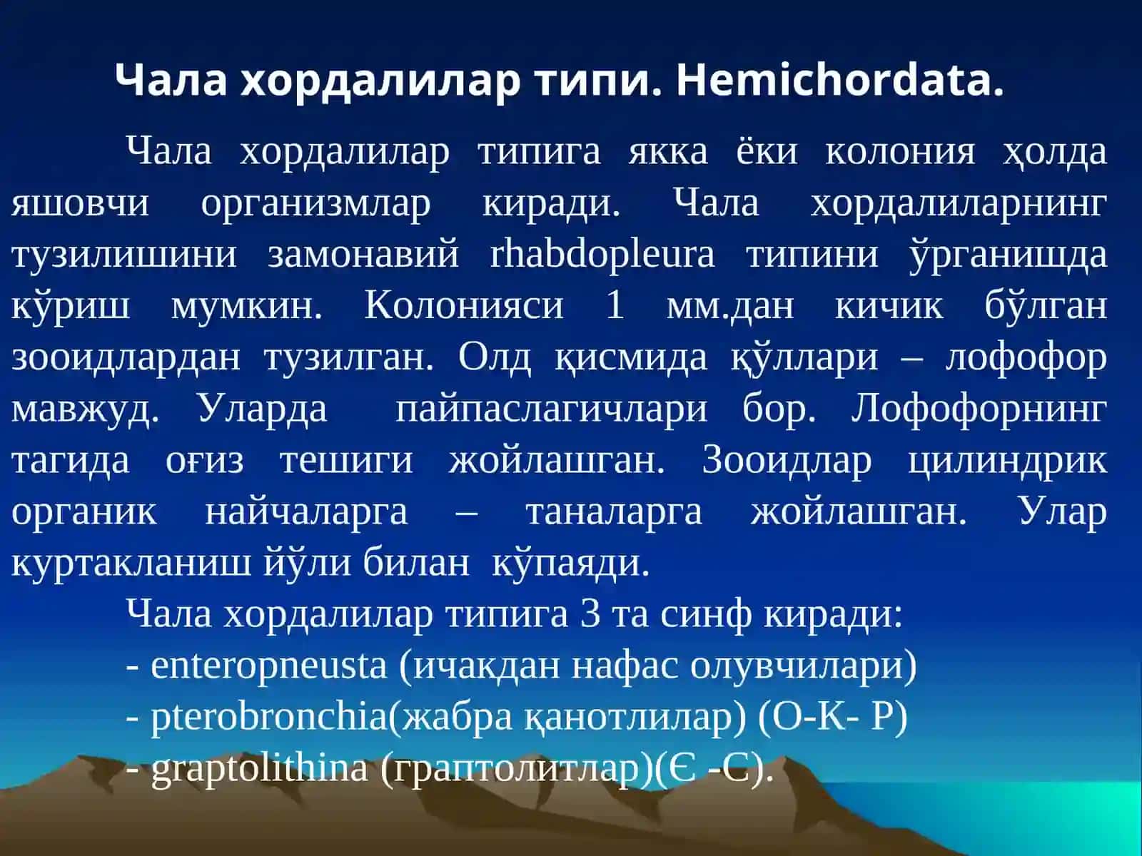 Чала хордалилар типи.Hemichordata 3