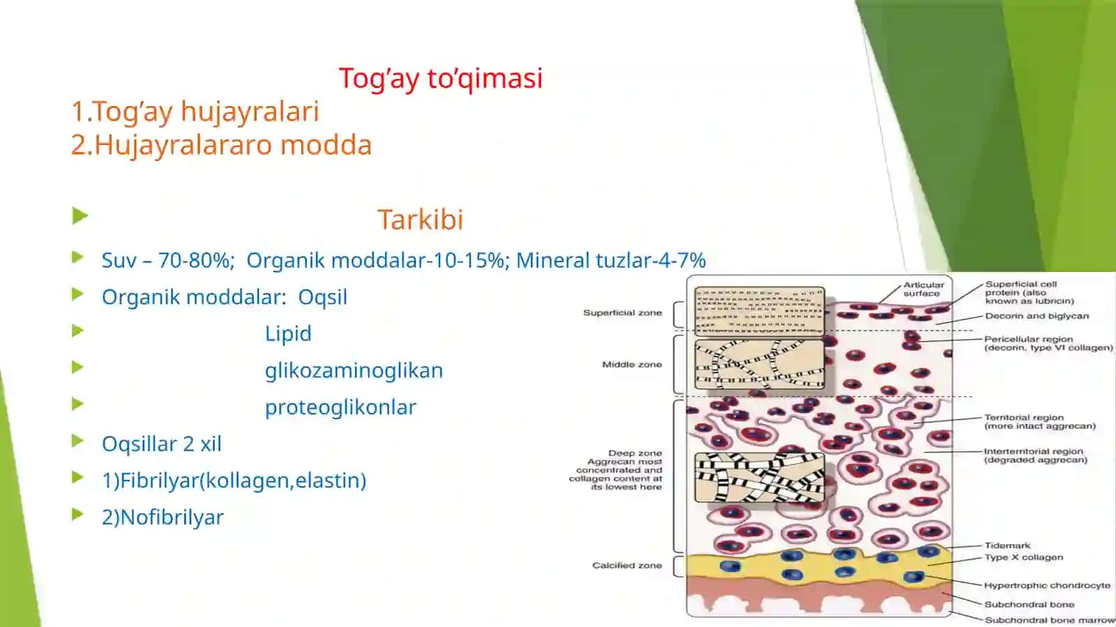 Toʻgʻay toʻqimasi 3