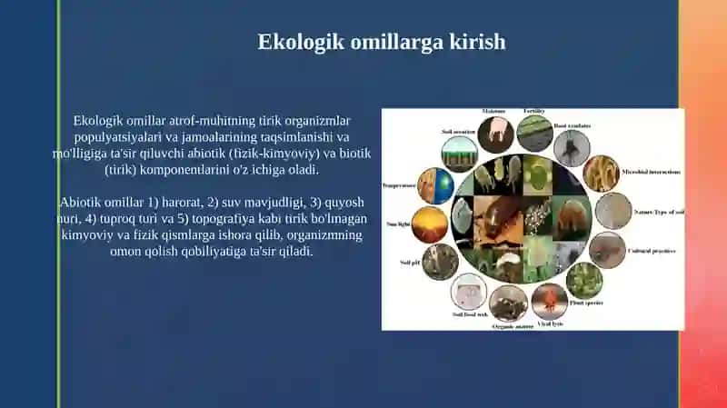 Ekologik omillar.Biotik aloqa turlari 3