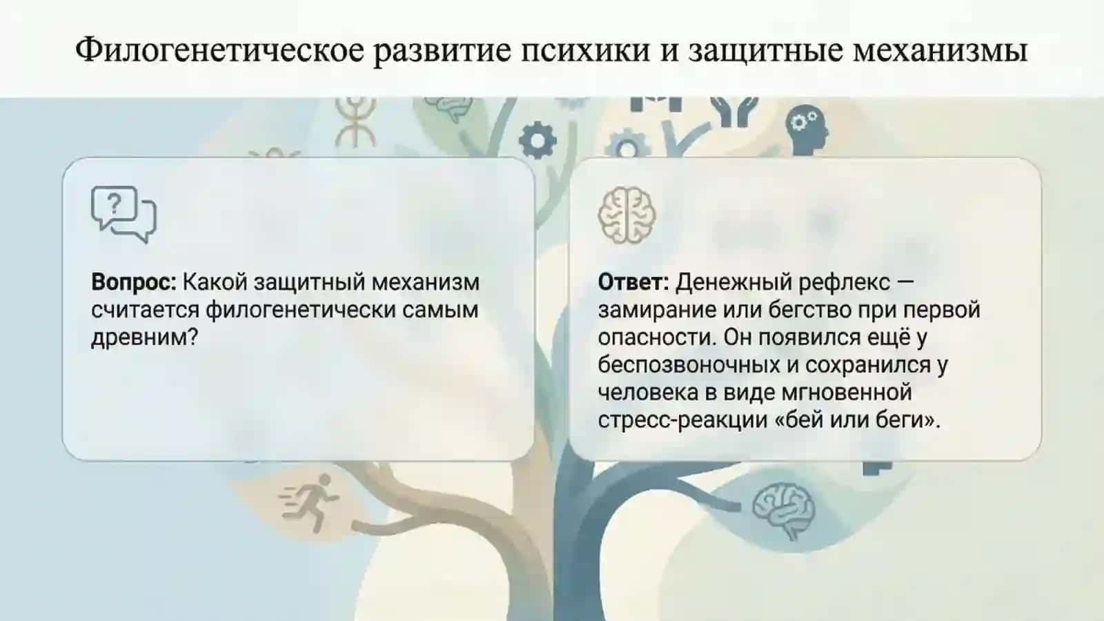 Психика_ от филогенеза до помощи 3