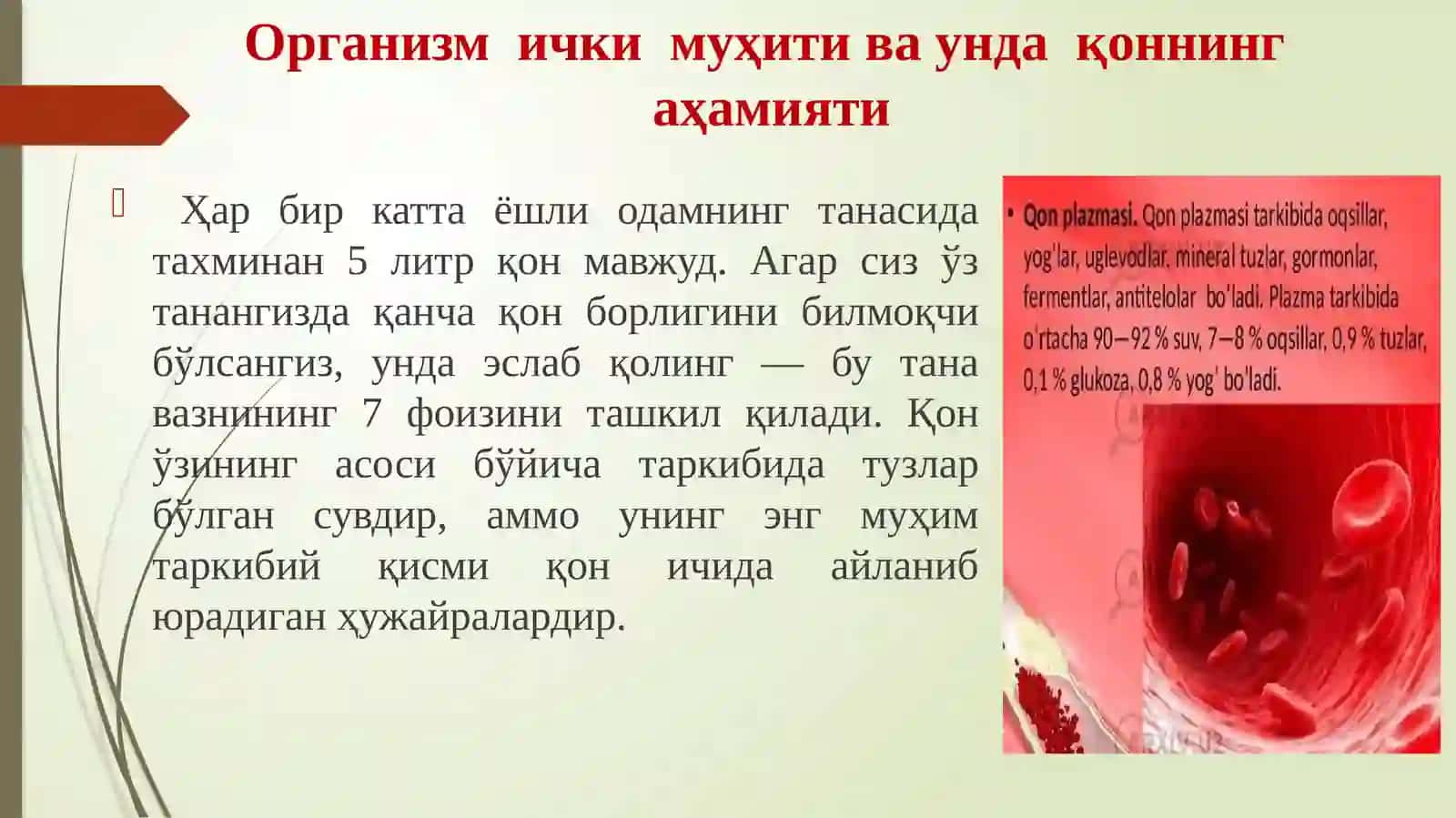 Tibbiy tayyorlov fani: Qontomir tizimi 3