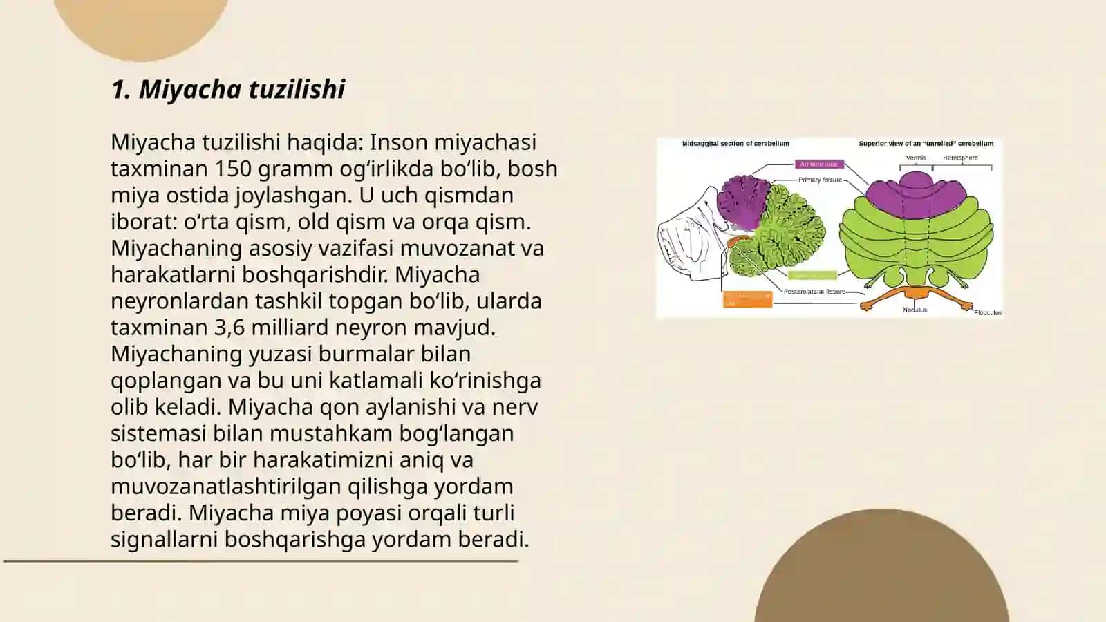 Miyacha fiziologiyasi 3