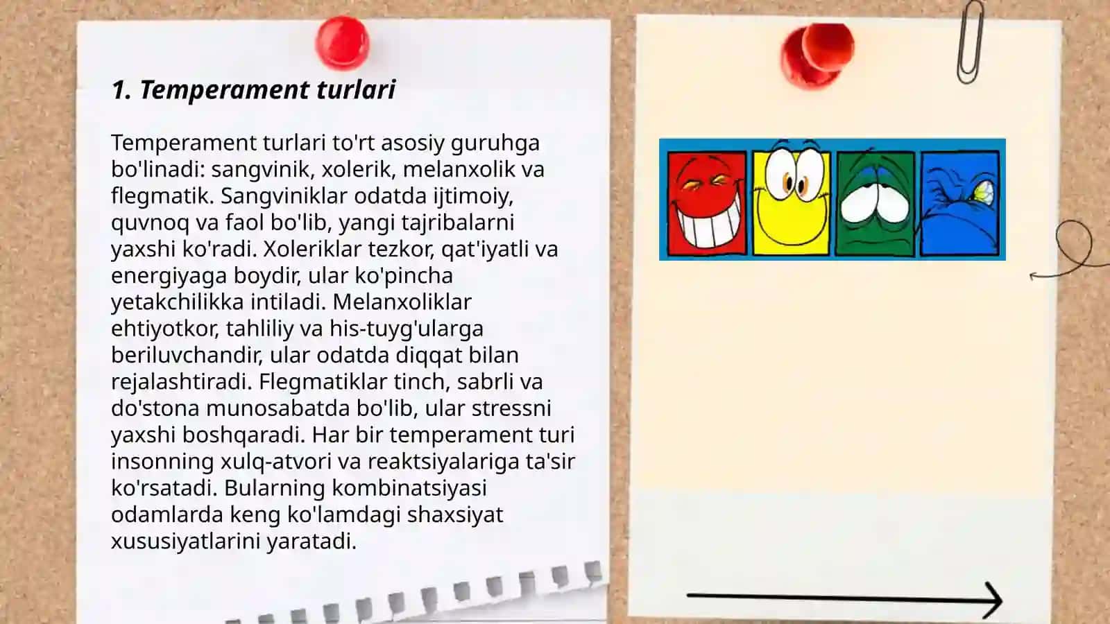 Temperament turlari 3