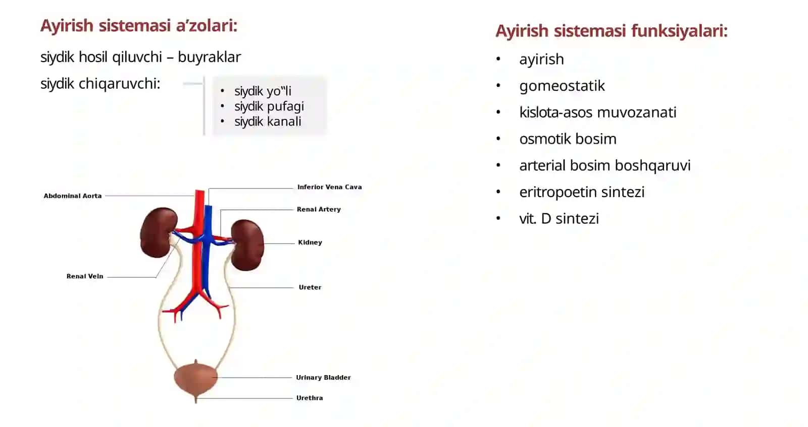 Ayirishsistemasi 3