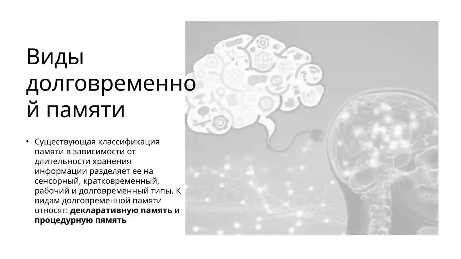 Процедурная и декларативная память 3