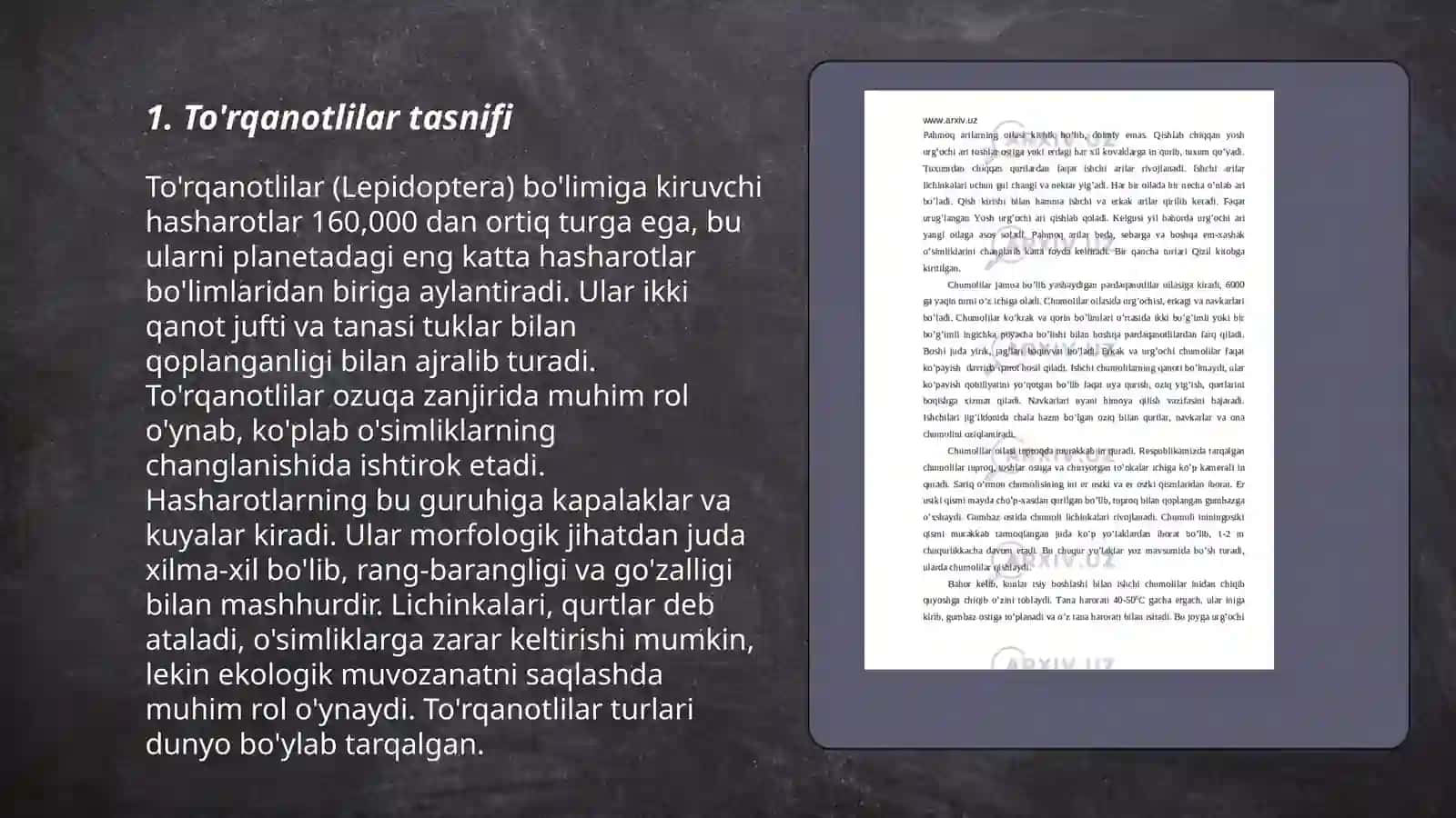 To'rqanotlilar turkumi 3