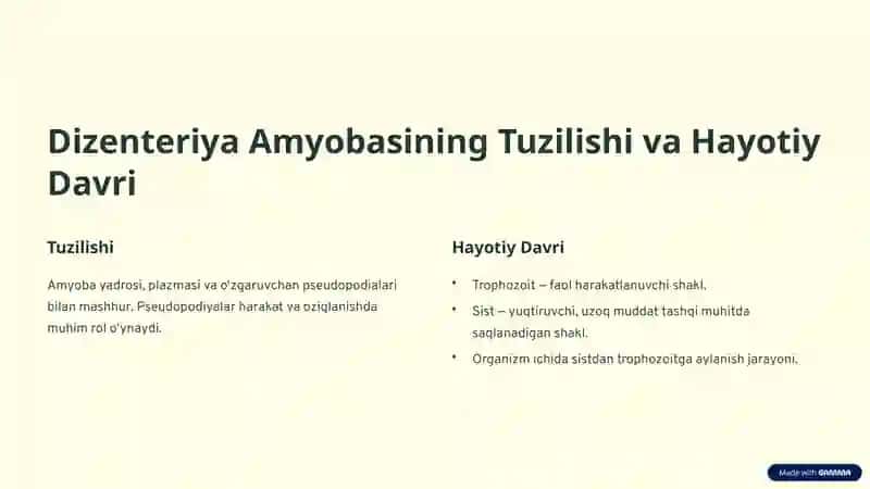 Ichak Parazitlari: Sarkodalilar va Infuzoriyalar 3