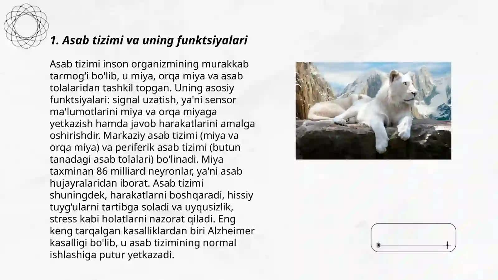 Asab tizimi va uning funktsiyalari 3
