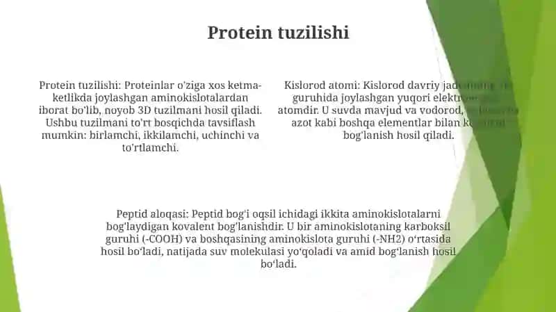 Oqsillar Va Peptid Boğlar 3