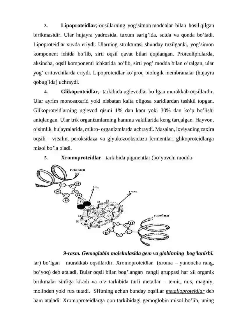 Murakkab oqsillar 3