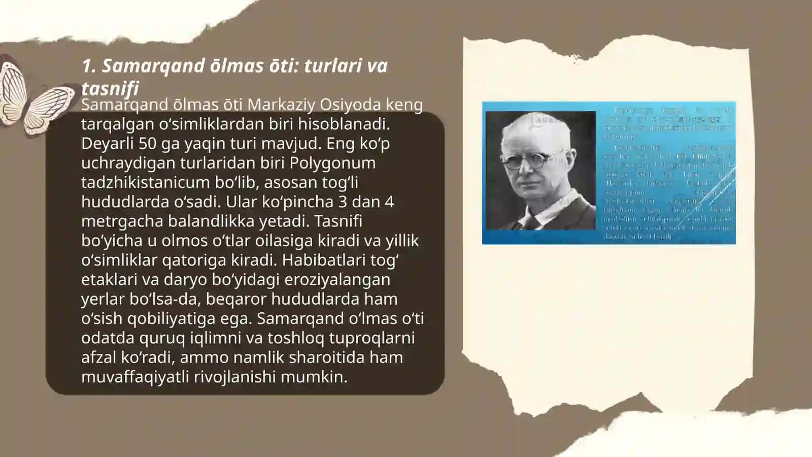 Samarqand ōlmas ōti: turlari va tasnifi 3