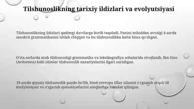 Tilshunoslikning boyish manbalarini organish 3