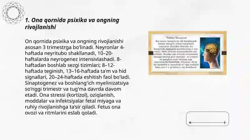 Psixika va ong taraqqiyoti 3