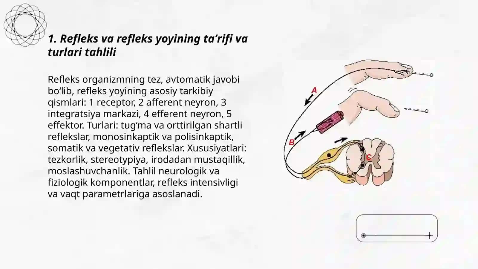 Refleks va rafleks yoyini tahlil qilish 3