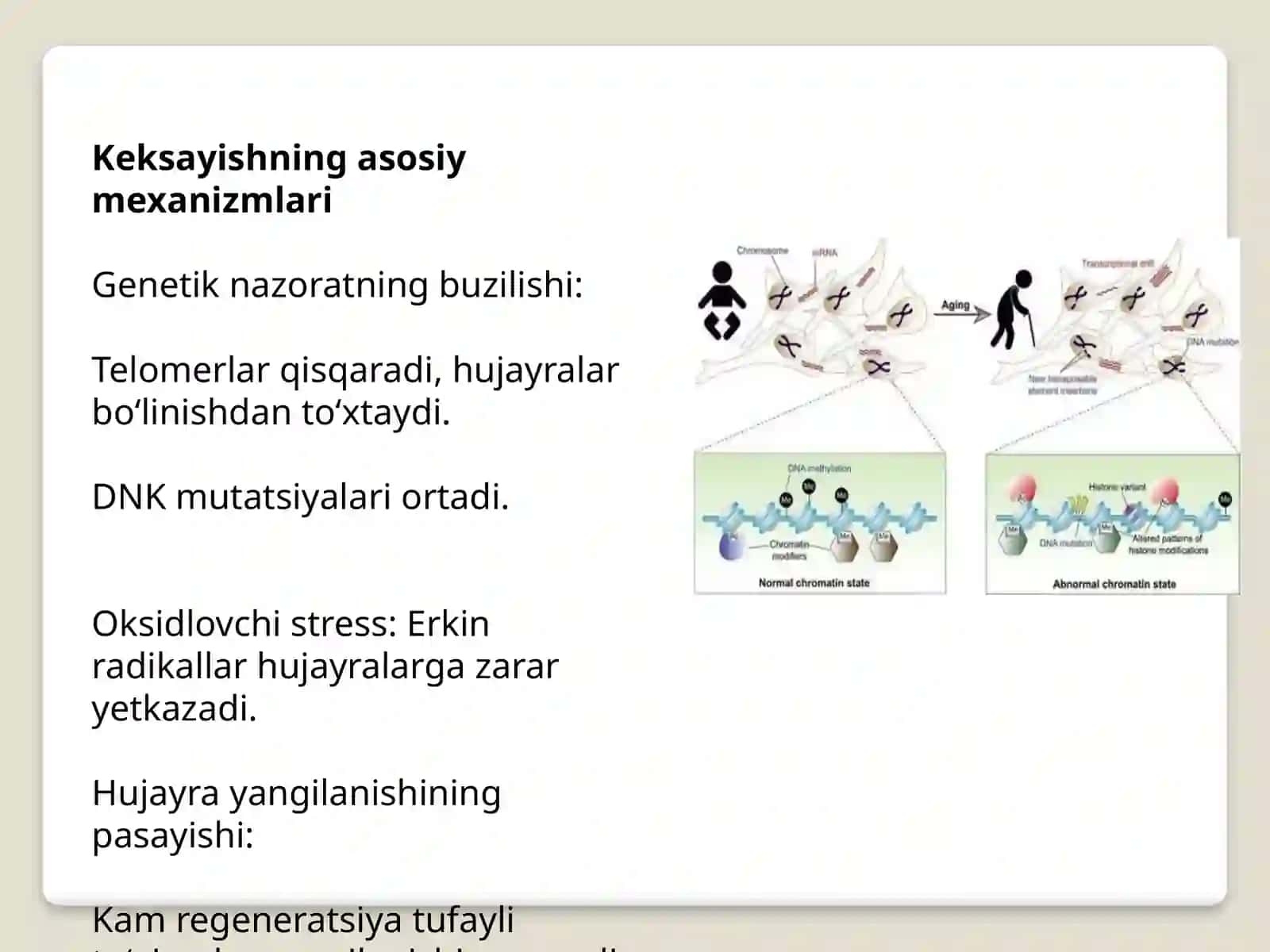 Organizmdagi keksayish davriga xos o'zgarishlar 3