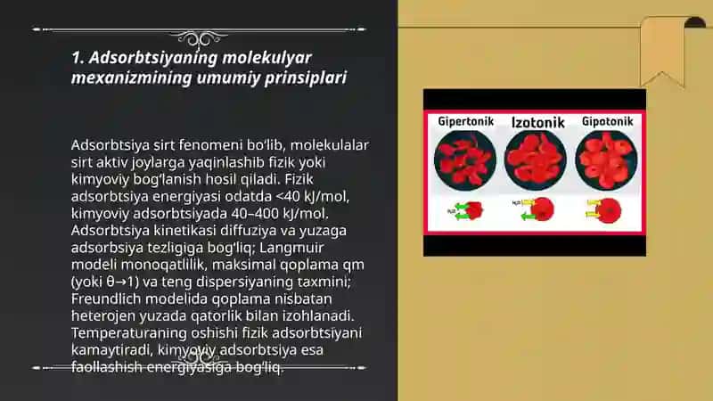 Adsorbtsiyaning molеkulyar mеxanizmi 3