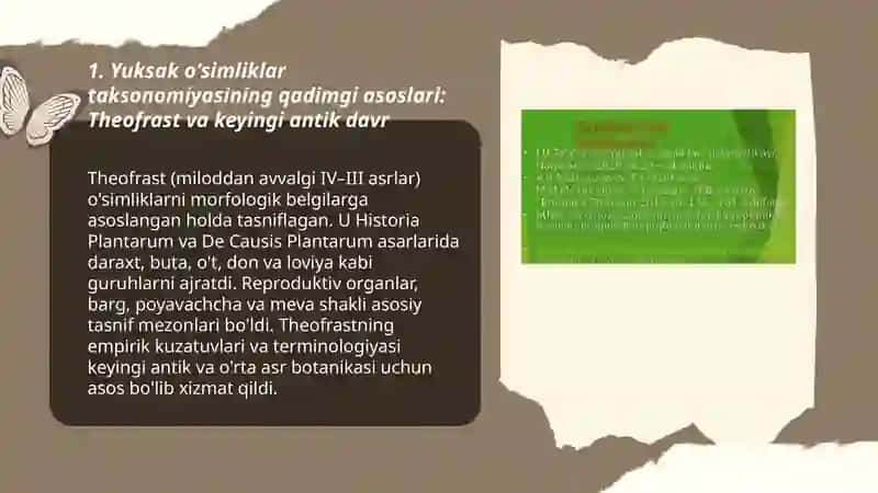 Yuksak oʻsimliklarning taksonomik tarixi 3