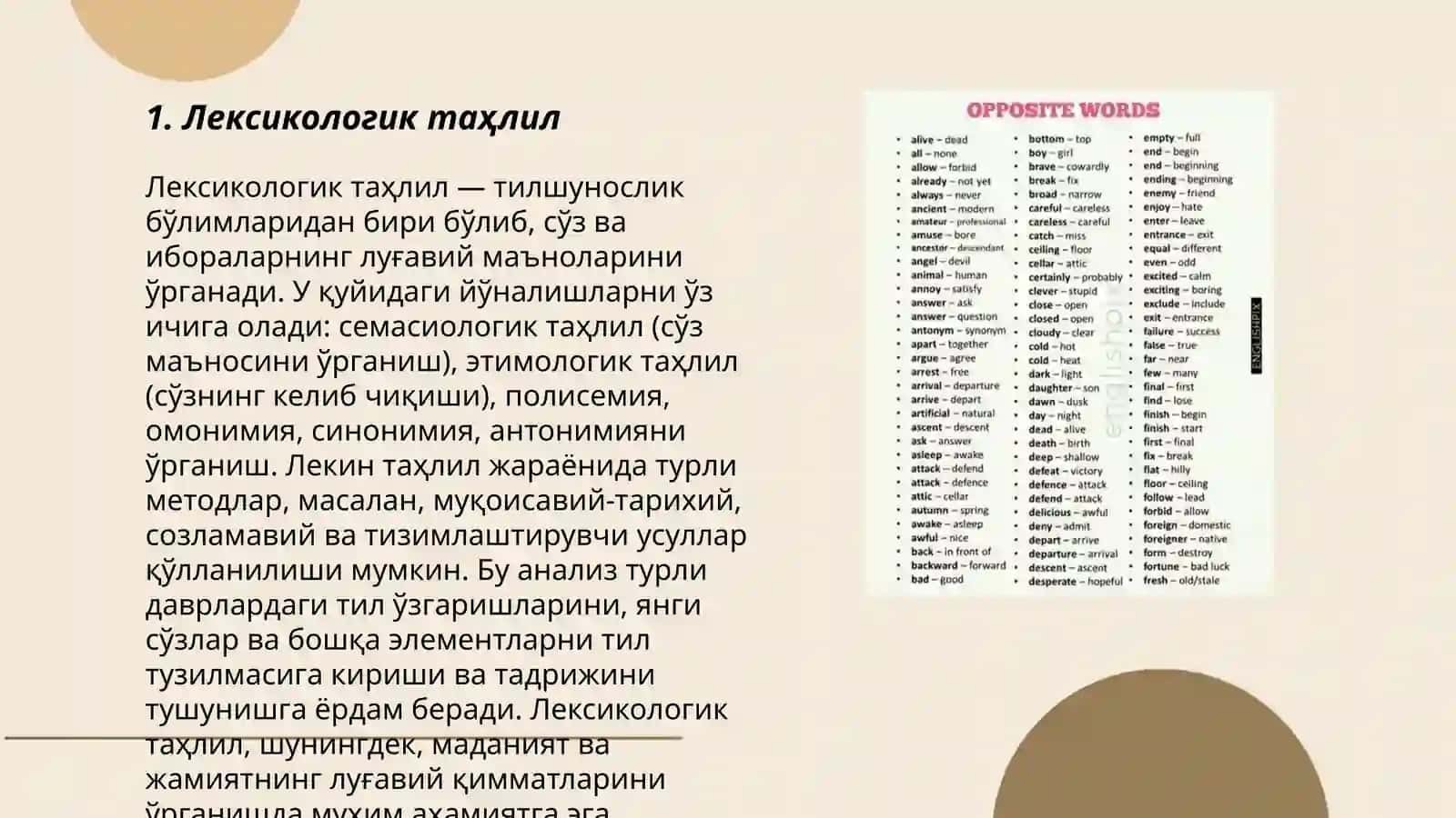 Лексика русского языка 3