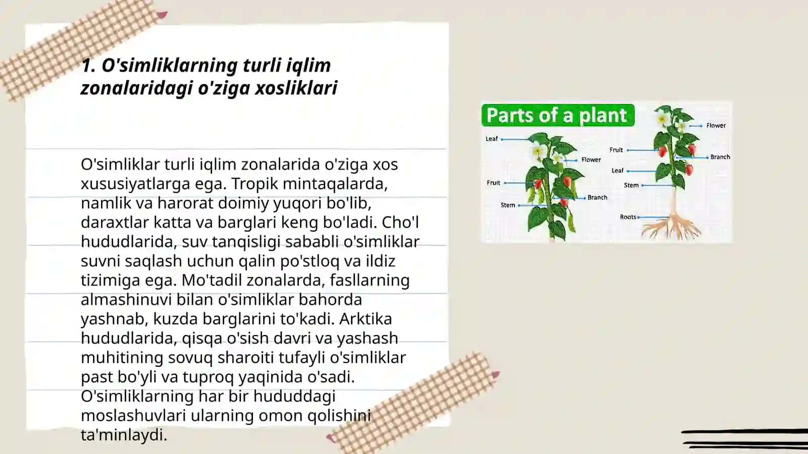 O’simliklarni turli muhit sharoitlarda o’rganish 3