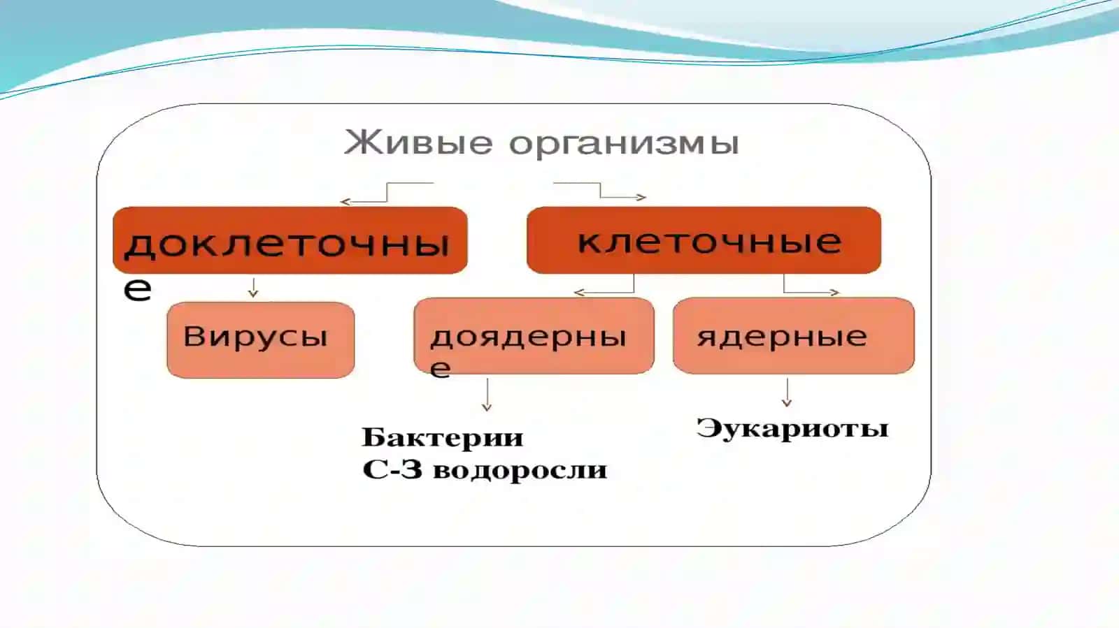 КЛЕТКА 3