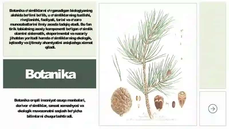 Botanika fanining vazifasi va maqsadi 3